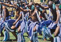 Traditional Ndlamu dancing