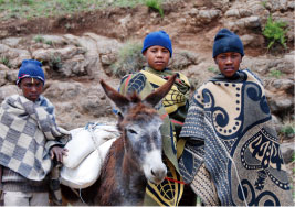 Donkeys are important partners in the transportation of living supplies in mountainous regions